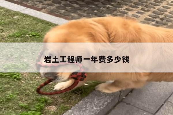 岩土工程师一年费多少钱