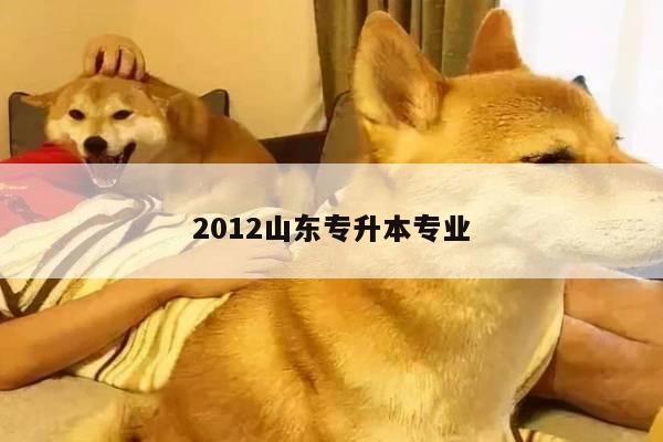 2012山东专升本专业