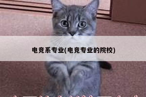 电竞系专业(电竞专业的院校)
