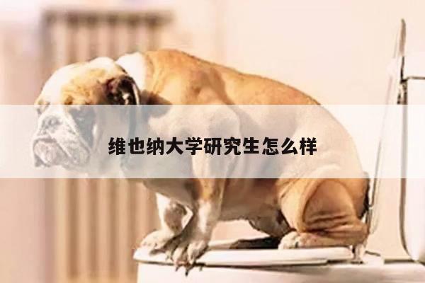 维也纳大学研究生怎么样