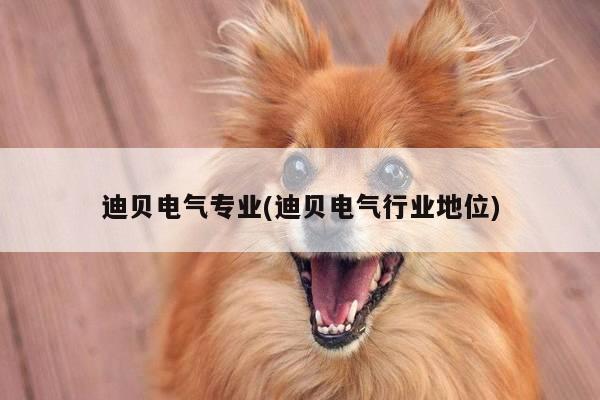迪贝电气专业(迪贝电气行业地位)