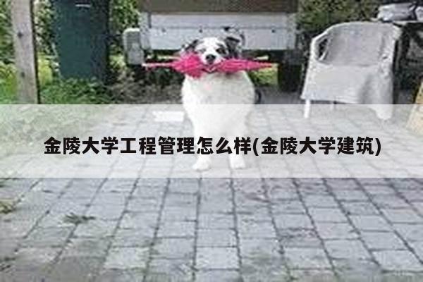 金陵大学工程管理怎么样(金陵大学建筑)