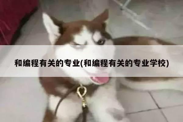 和编程有关的专业(和编程有关的专业学校)