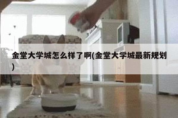 金堂大学城怎么样了啊(金堂大学城最新规划)