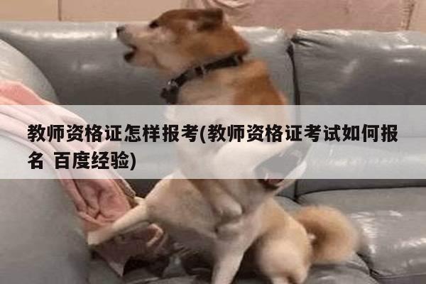 教师资格证怎样报考(教师资格证考试如何报名 百度经验)
