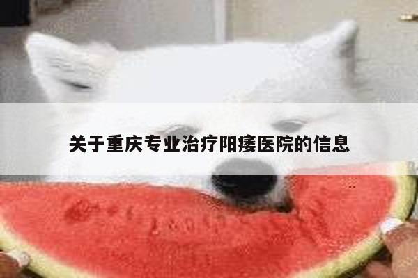 关于重庆专业治疗阳痿医院的信息