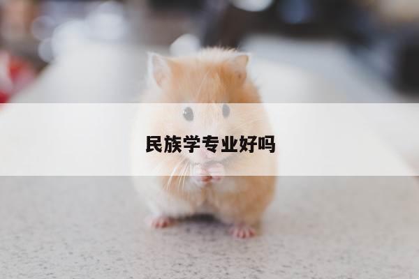 民族学专业好吗