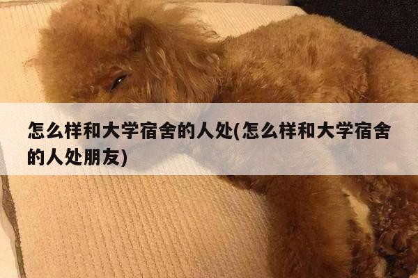 怎么样和大学宿舍的人处(怎么样和大学宿舍的人处朋友)