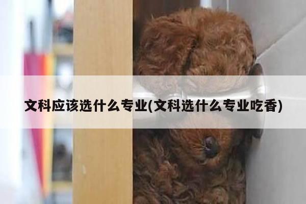文科应该选什么专业(文科选什么专业吃香)