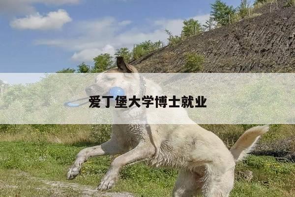 爱丁堡大学博士就业