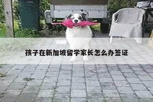 孩子在新加坡留学家长怎么办签证