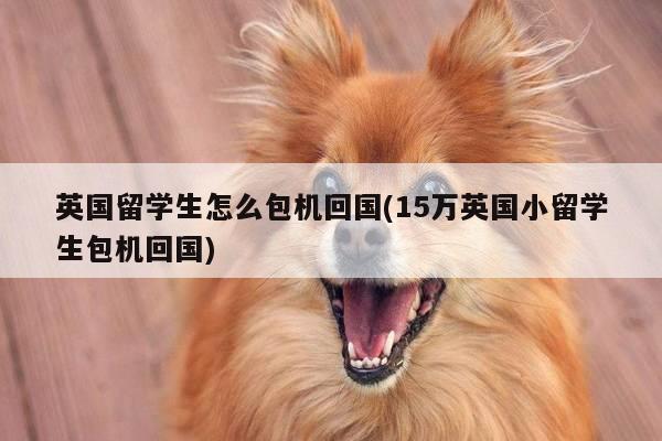 英国留学生怎么包机回国(15万英国小留学生包机回国)