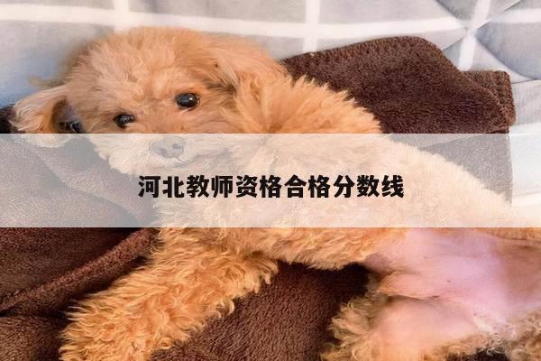 河北教师资格合格分数线
