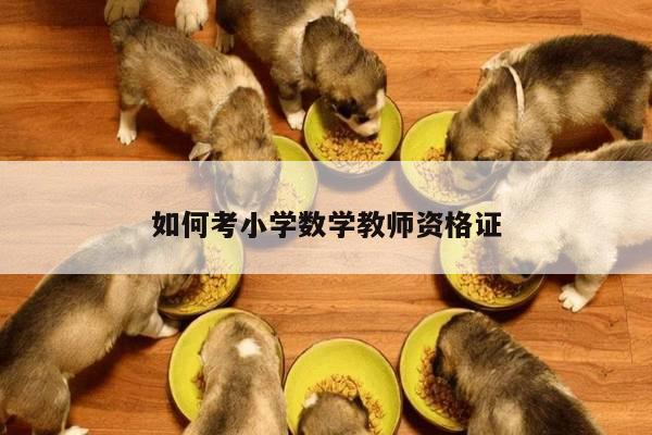 如何考小学数学教师资格证