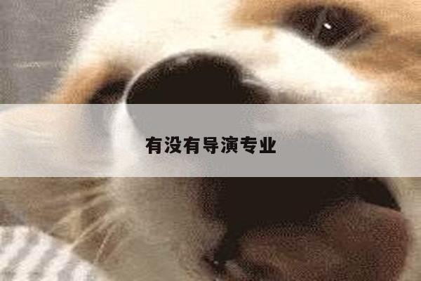 有没有导演专业