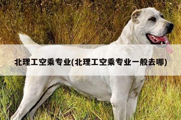 北理工空乘专业(北理工空乘专业一般去哪)