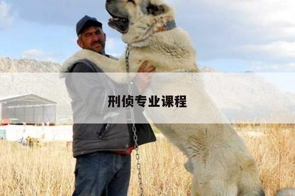 刑侦专业课程