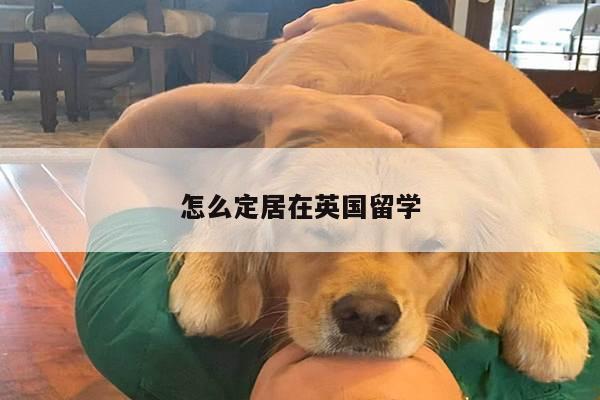 怎么定居在英国留学