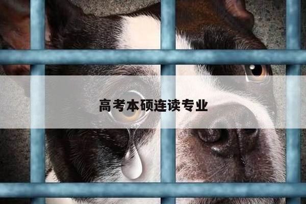 高考本硕连读专业