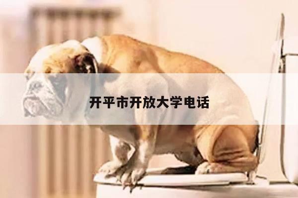 开平市开放大学电话