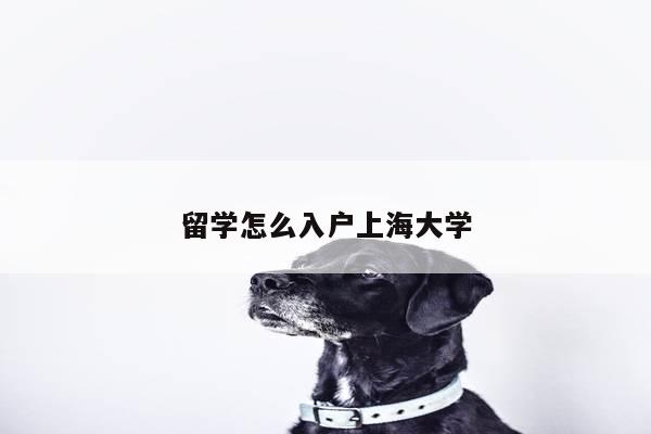 留学怎么入户上海大学