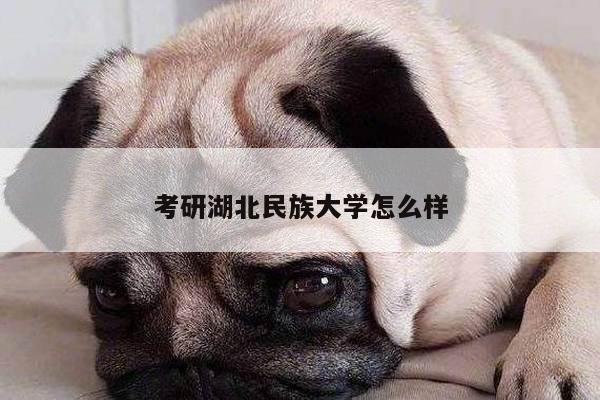 考研湖北民族大学怎么样