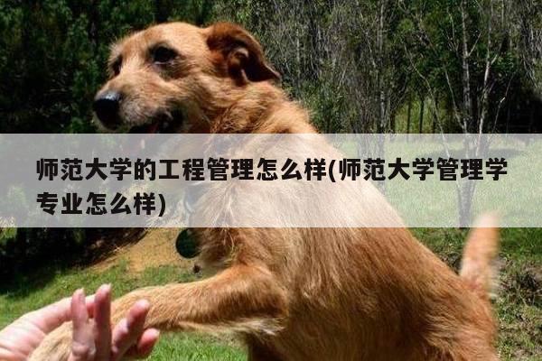 师范大学的工程管理怎么样(师范大学管理学专业怎么样)