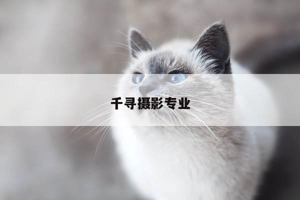 千寻摄影专业