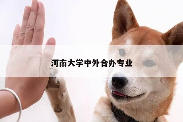 河南大学中外合办专业