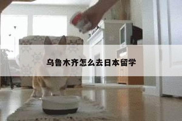 乌鲁木齐怎么去日本留学