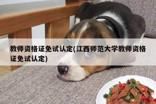 教师资格证免试认定(江西师范大学教师资格证免试认定)