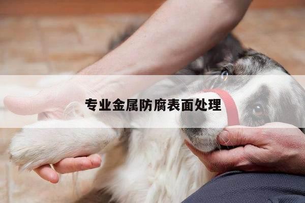 专业金属防腐表面处理