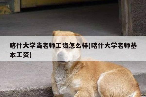 喀什大学当老师工资怎么样(喀什大学老师基本工资)