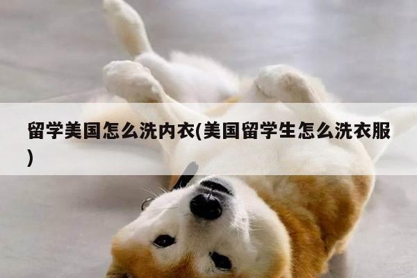 留学美国怎么洗内衣(美国留学生怎么洗衣服)