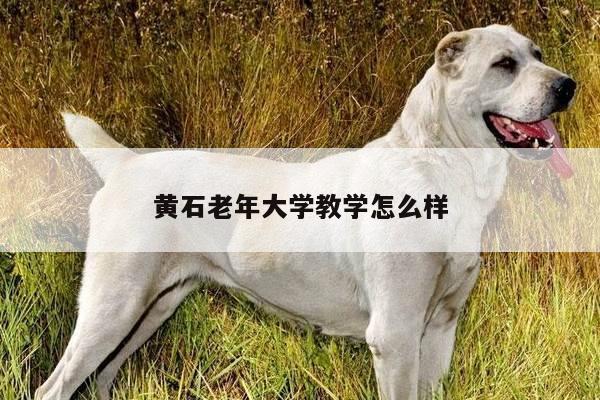 黄石老年大学教学怎么样