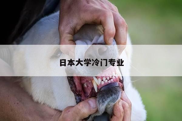 日本大学冷门专业