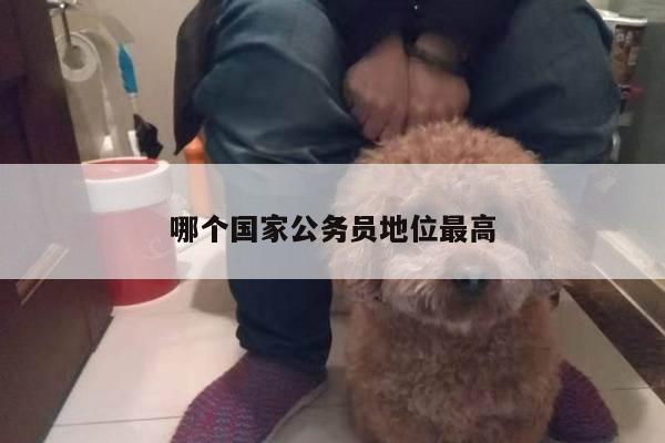哪个国家公务员地位最高