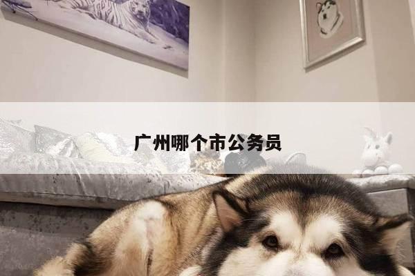 广州哪个市公务员