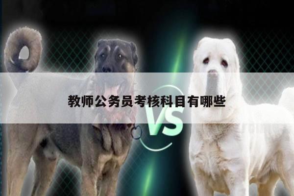 教师公务员考核科目有哪些