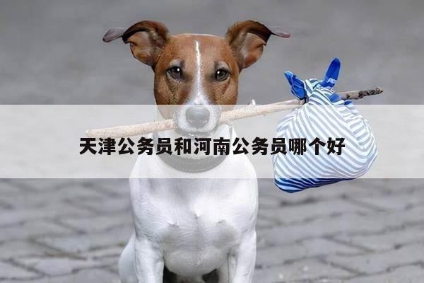天津公务员和河南公务员哪个好