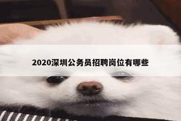 2020深圳公务员招聘岗位有哪些