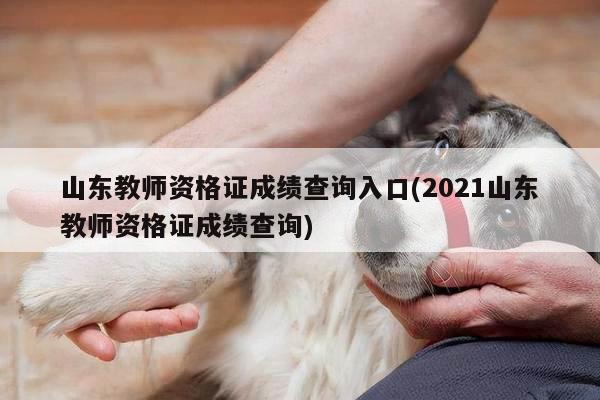 山东教师资格证成绩查询入口(2021山东教师资格证成绩查询)