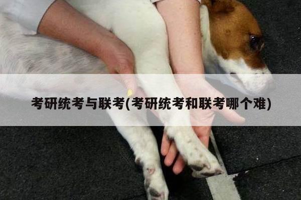 考研统考与联考(考研统考和联考哪个难)