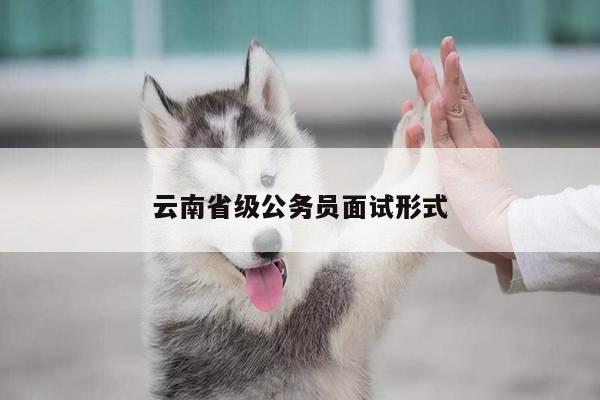 云南省级公务员面试形式