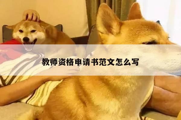 教师资格申请书范文怎么写