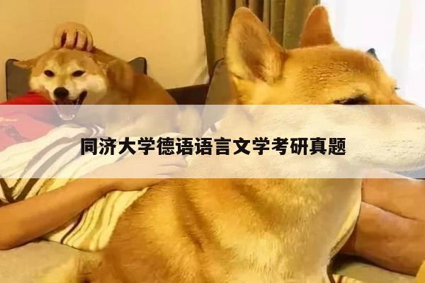 同济大学德语语言文学考研真题