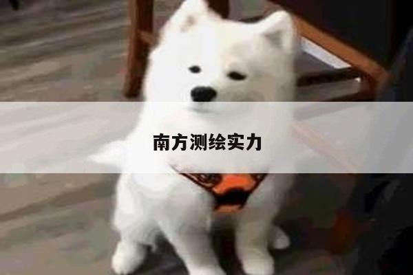 南方测绘实力