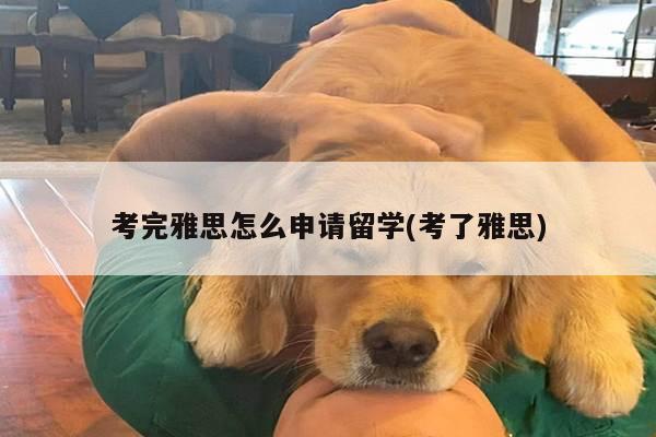 考完雅思怎么申请留学(考了雅思)