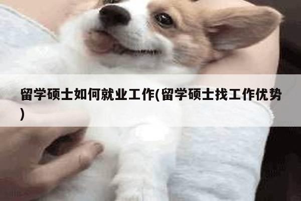 留学硕士如何就业工作(留学硕士找工作优势)