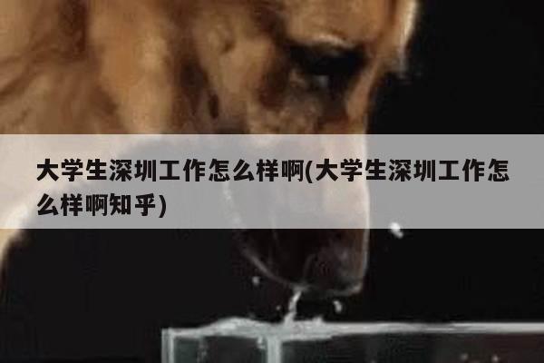 大学生深圳工作怎么样啊(大学生深圳工作怎么样啊知乎)